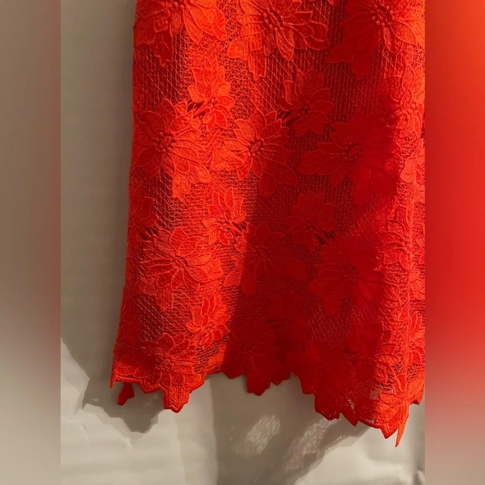 Banana Republic Limited Edition Coral Dress - Picture 3 of 7